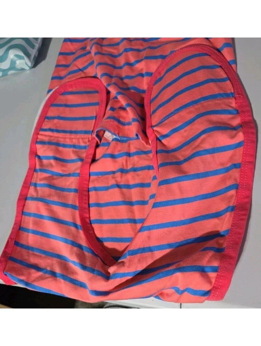 Dog Recovery One-Piece Pink Blue